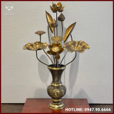 Bó sen bằng đồng hoài cổ