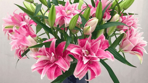 Bật mí cách cắm hoa ly bàn thờ đơn giản, đẹp mắt