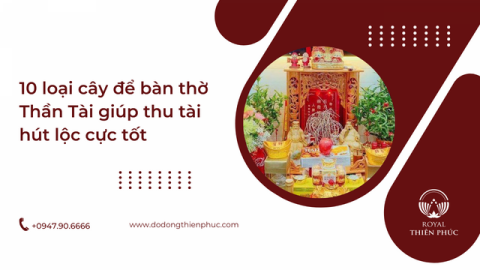 10 loại cây để bàn thờ Thần Tài  giúp thu tài hút lộc cực tốt