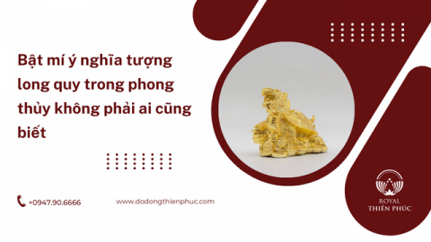 Bật mí ý nghĩa tượng long quy trong phong thủy không phải ai cũng biết