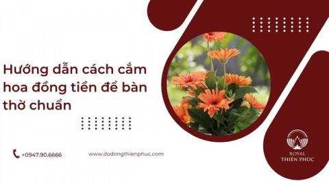 Hướng dẫn cách cắm hoa đồng tiền để bàn thờ chuẩn