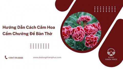 Hướng Dẫn Cách Cắm Hoa Cẩm Chướng Để Bàn Thờ