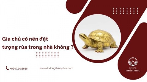 Gia chủ có nên đặt tượng rùa trong nhà không ?