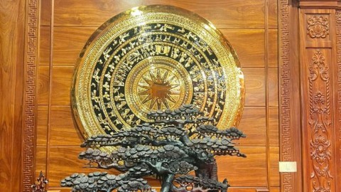 Hoàn thiện bàn giao mặt trống đồng gò mạ vàng 1m2 tại Vũ Thư