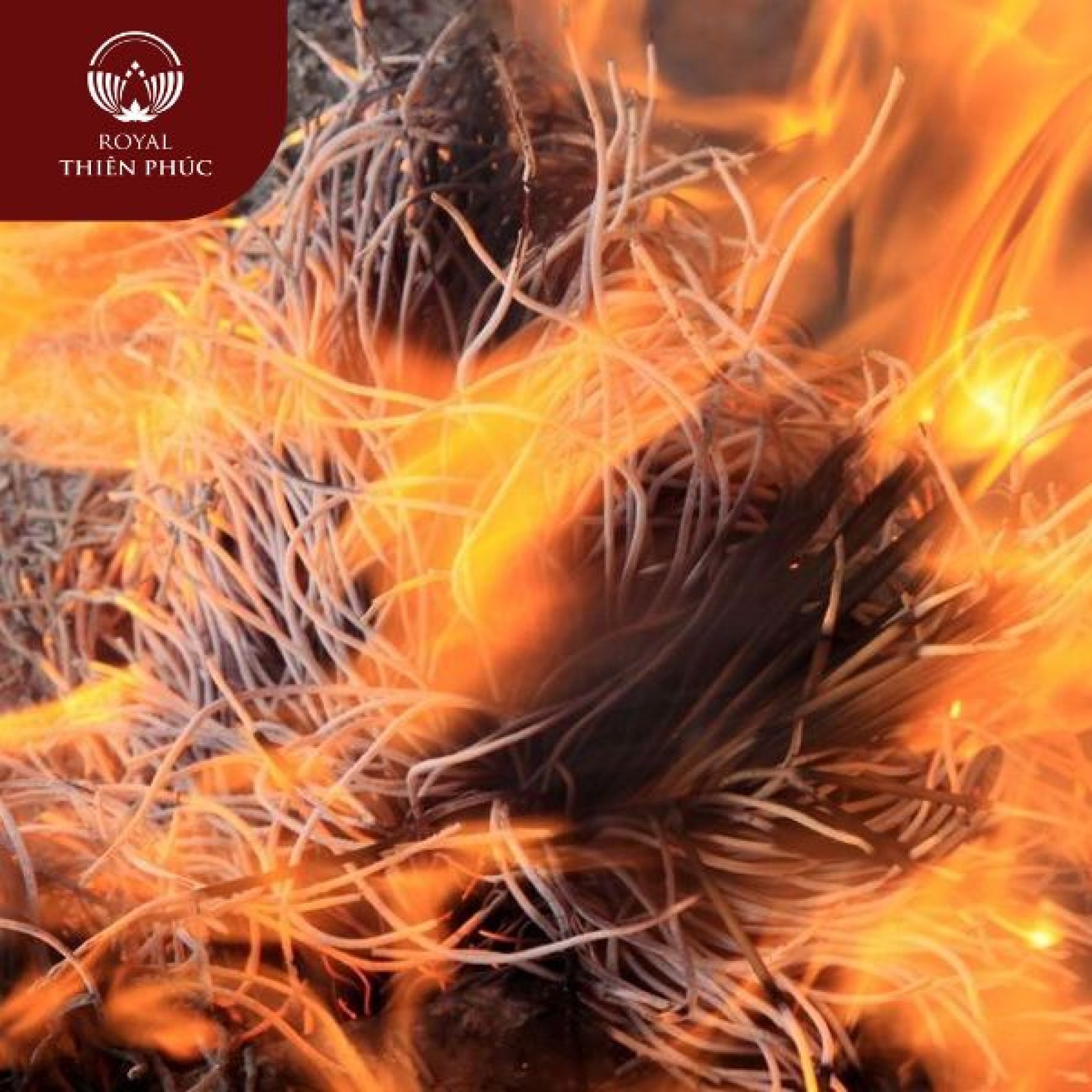 Cháy Bát Hương Thần Tài Là Hiện Tượng Gì?