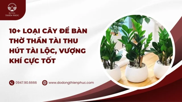 10+ loại cây để bàn thờ Thần Tài thu hút tài lộc, vượng khí cực tốt