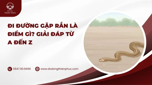 Đi đường gặp rắn là điềm gì? Giải đáp từ A đến Z