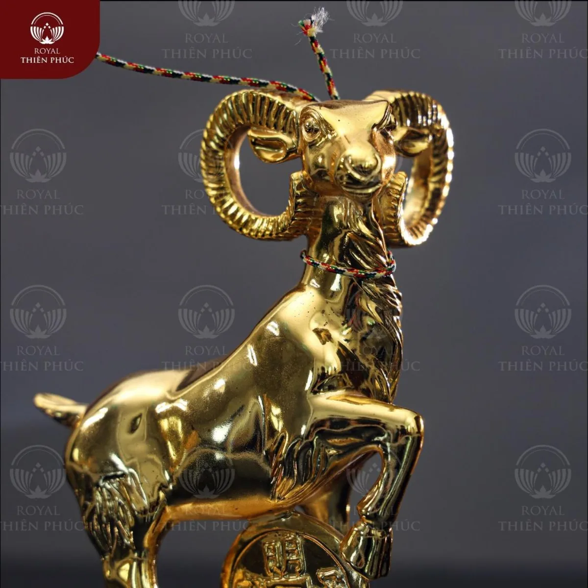 Tượng con dê gác chân lên đồng xu cao 15cm bằng đồng mạ vàng 1 tuongcondegacchanlendongxucao15cmbangdongmavang1 w1200