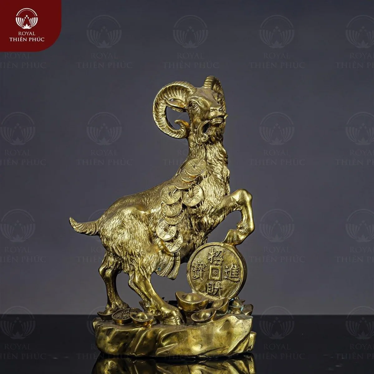 Tượng con dê ngậm dải tiền bằng đồng vàng cao 27cm 3 Tượng con dê ngậm dải tiền bằng đồng vàng cao 27cm