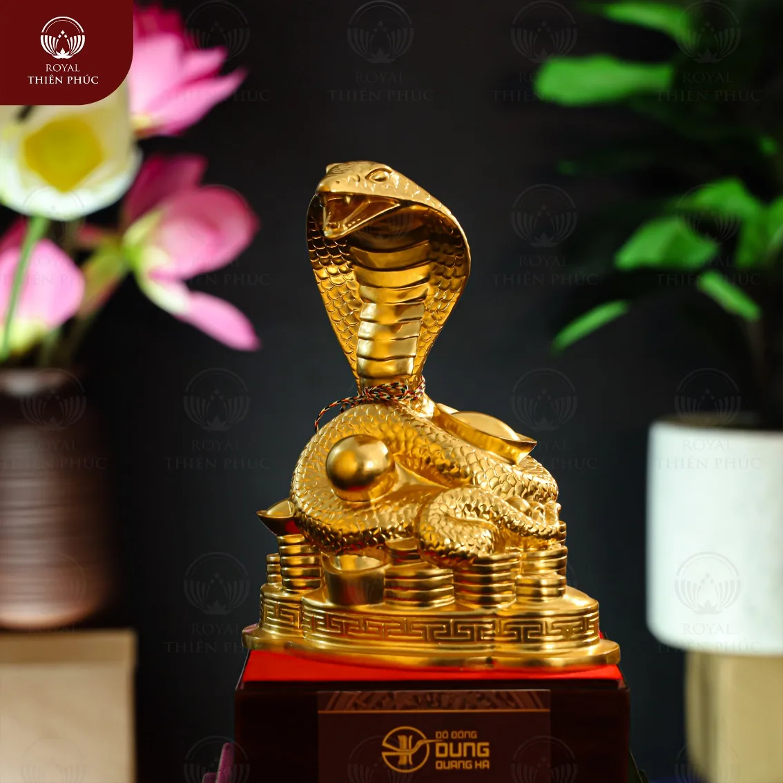 Tượng rắn phú quý bằng đồng catut thếp vàng cao 18cm 5 308 5 w1200