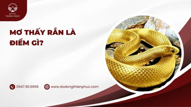 Mơ thấy rắn là điềm gì?