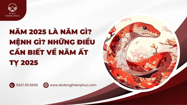 Năm 2025 là năm gì? Mệnh gì? Những điều cần biết về năm Ất Tỵ 2025