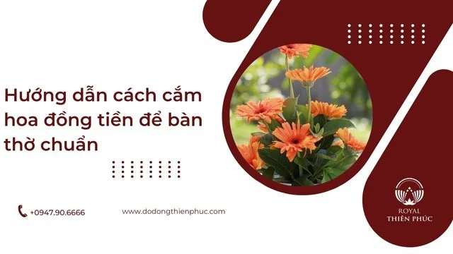 hoadongtien5
