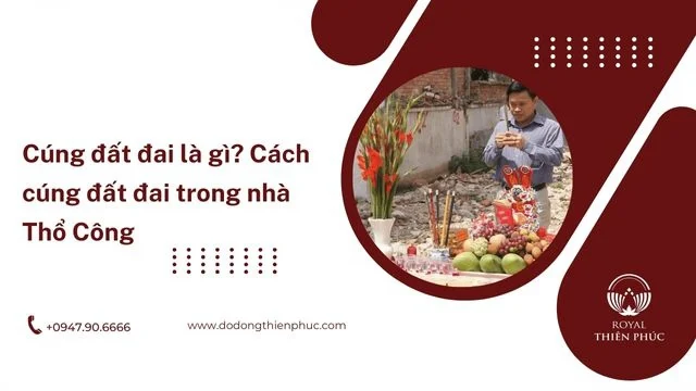 cungdatdaitrongnha4