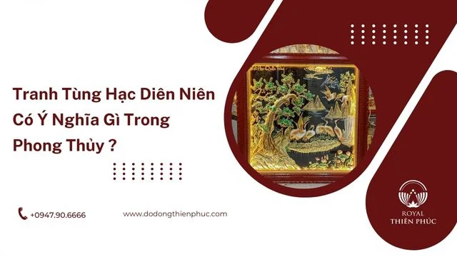tunghacdiennien5