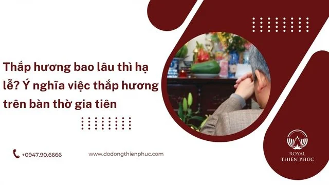 thaphuongbaolauthihale4