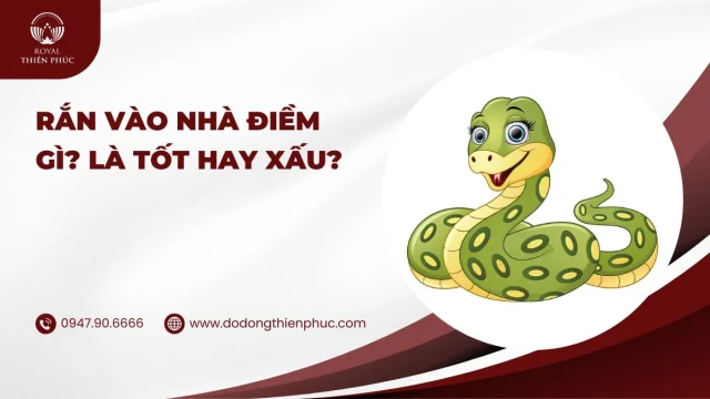 ranvaonhadiemgithumbnail